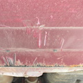 IMG 6716Large